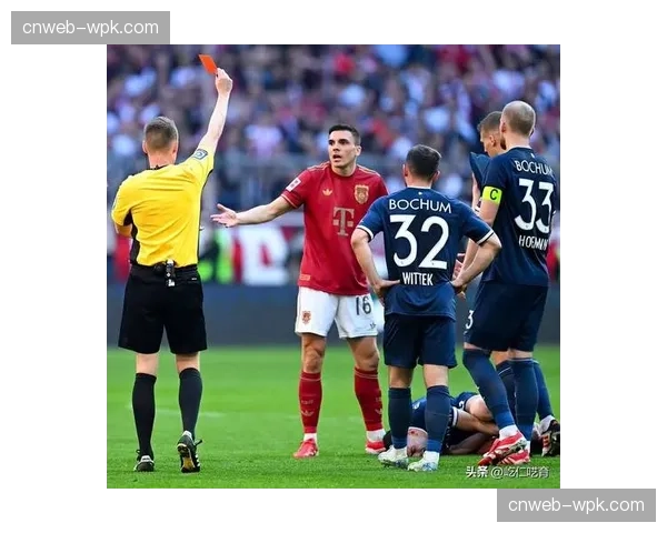 “农夫”抗议再现？拜仁对阵波鸿比赛因场内出现网球短暂中断